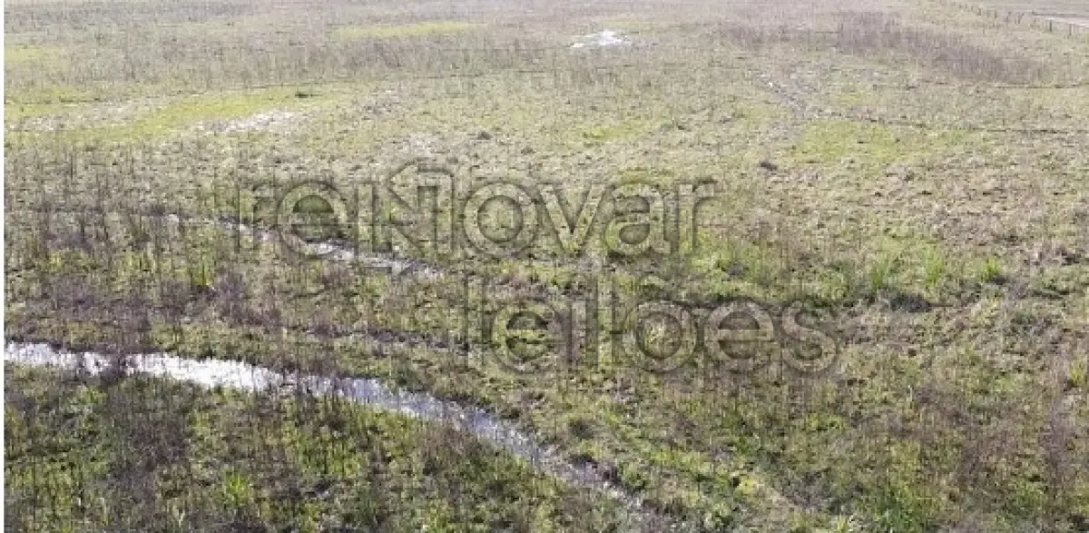 LOTE 001 - ÁREA RURAL C/ 13 HAC - FORMIGUEIRO / RS