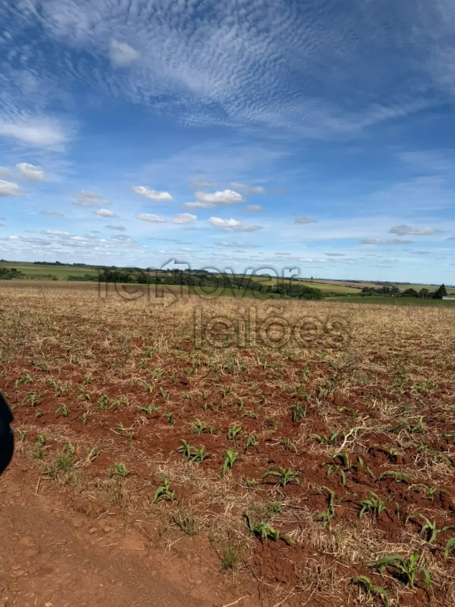 LOTE 001 - ÁREA RURAL C/ 3 HAC - SANTO ÂNGELO / RS