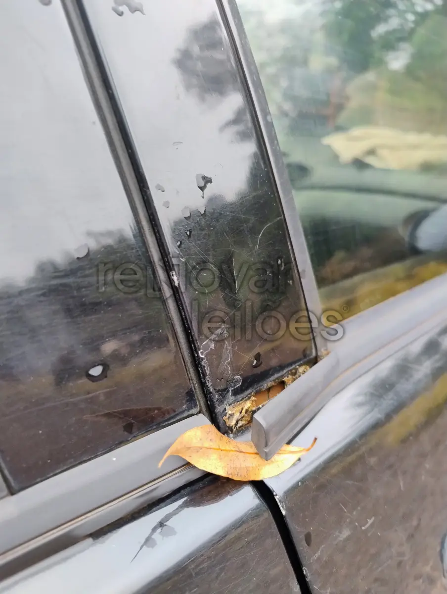 LOTE 006 - FORD FOCUS, ANO/MODELO 2004/2004, DEPOSITADO COM O EXECUTADO