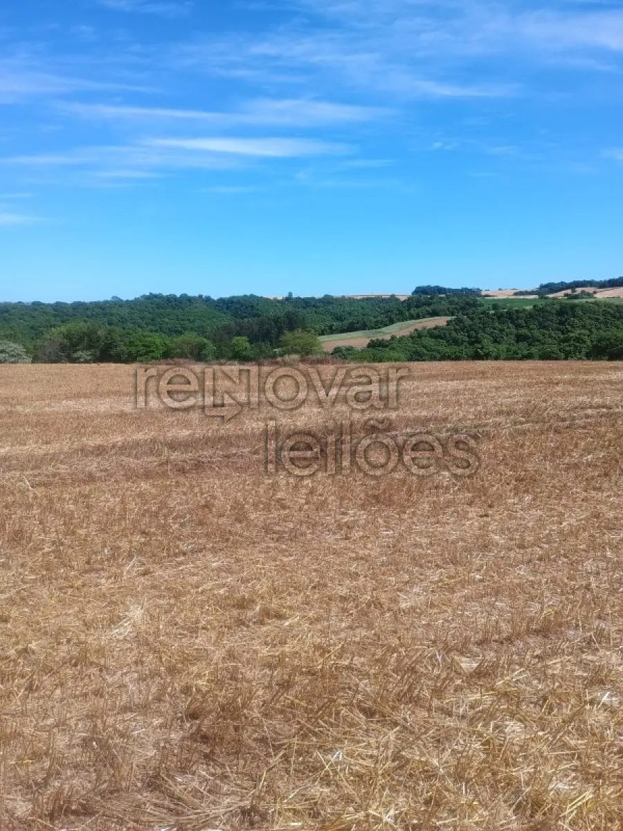 LOTE 016 - ÁREA RURAL C / 3,8 HA - BRAGA / RS