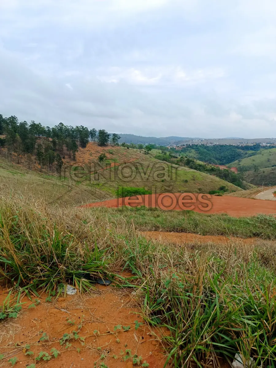 LOTE 001 - TERRENO URBANO C/ 718,54 M² - COLATINA / ES