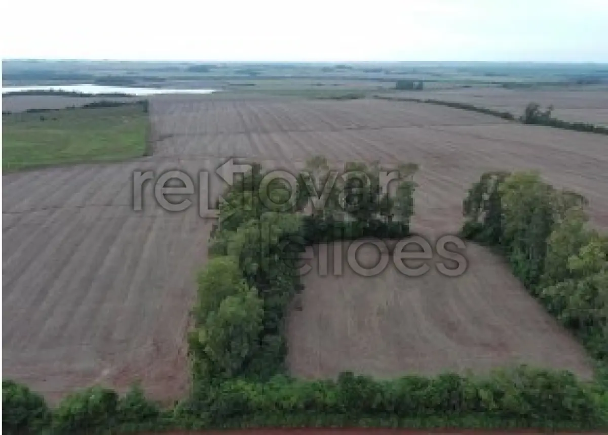 LOTE 001