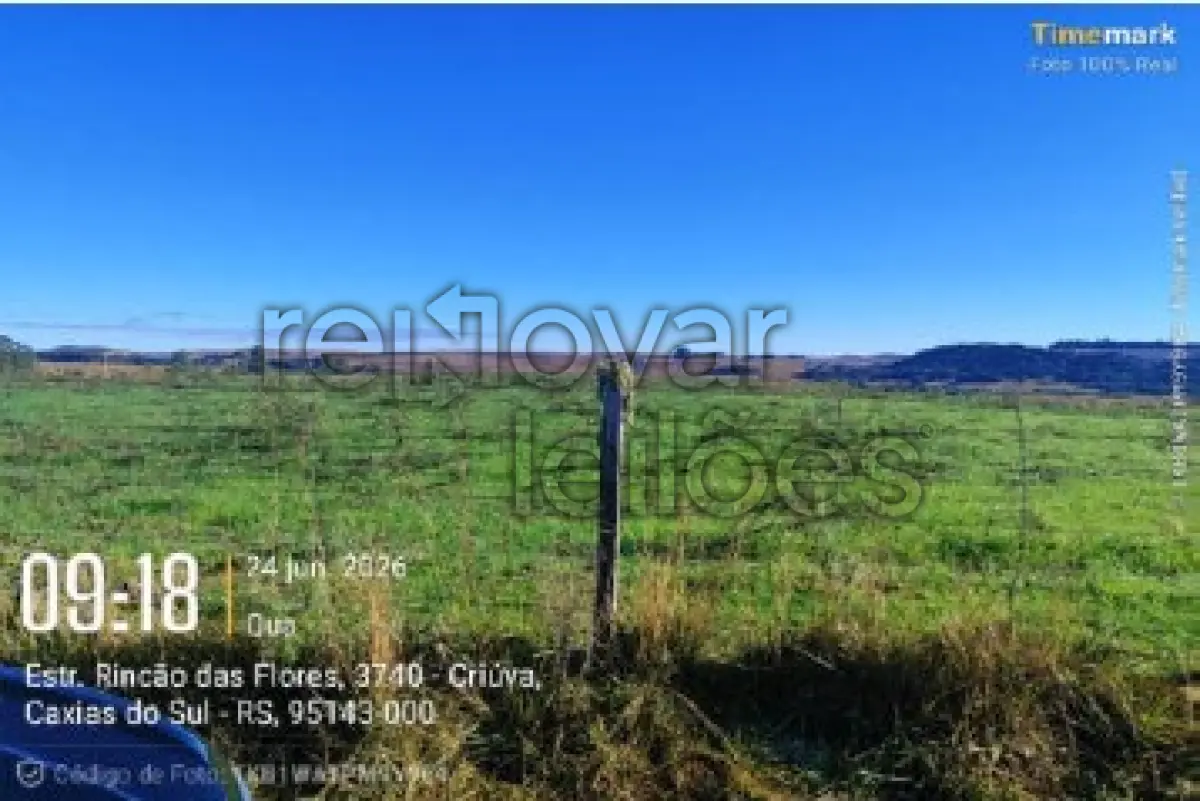 LOTE 001