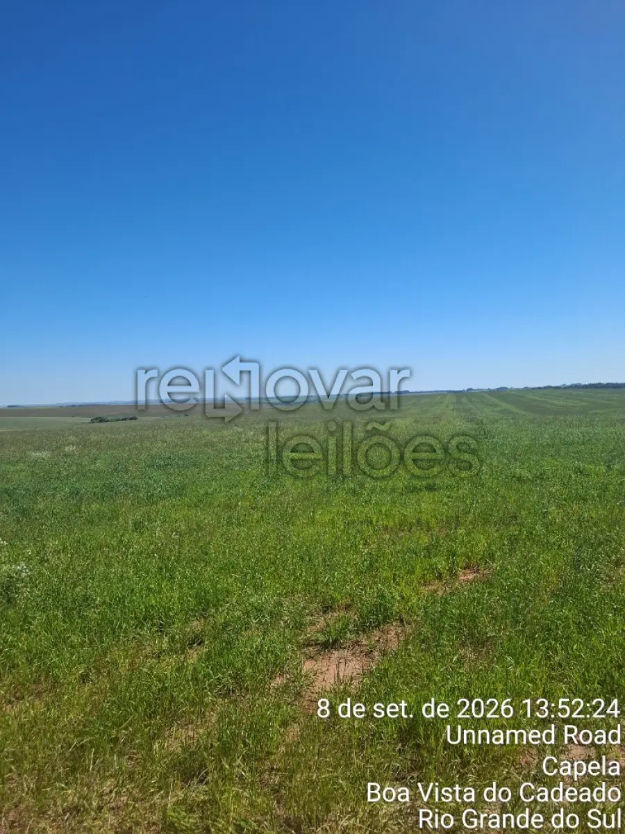 LOTE 009 - ÁREA RURAL C/ 24,50 HAC - BOA VISTA DO CADEADO / RS
