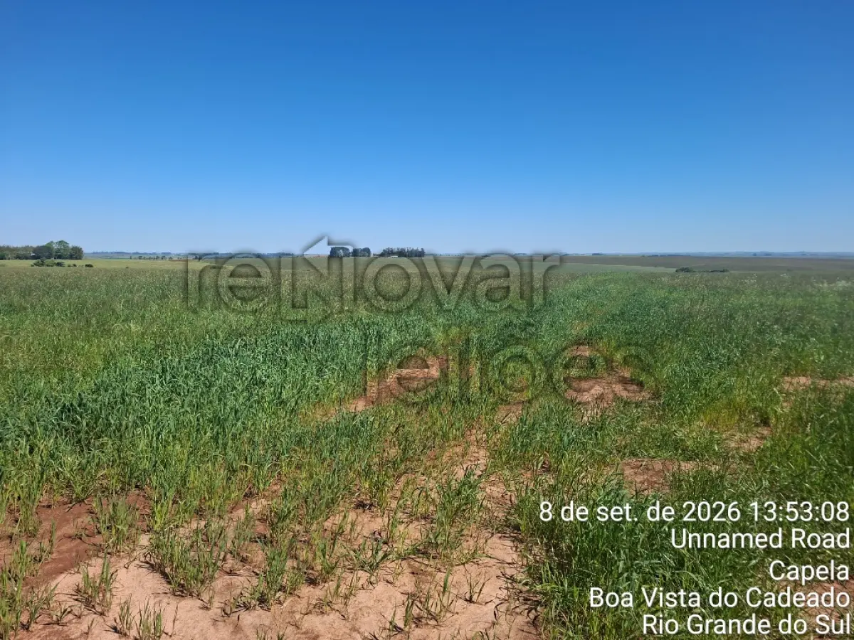 LOTE 009 - ÁREA RURAL C/ 24,50 HAC - BOA VISTA DO CADEADO / RS