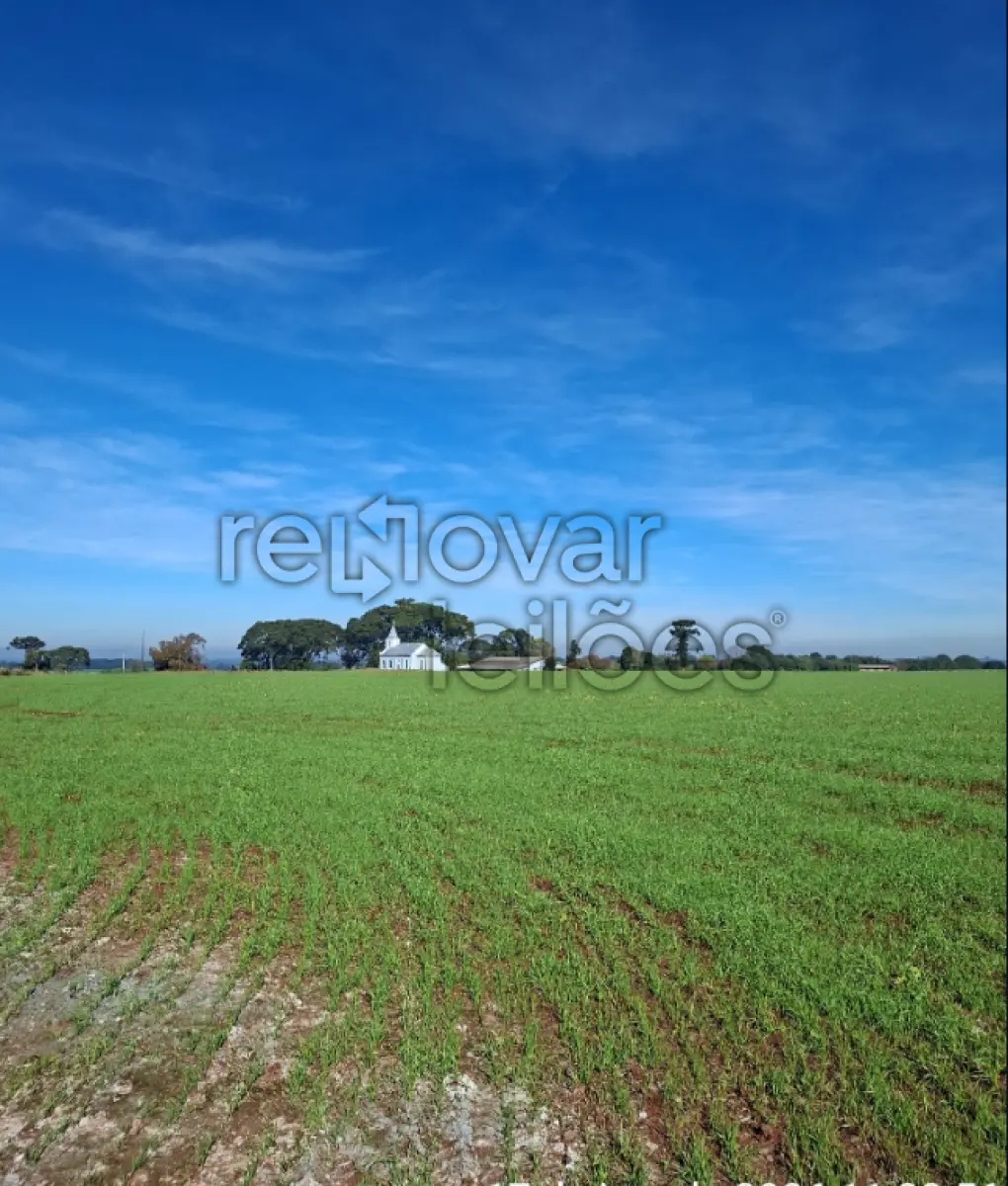 LOTE 008 - ÁREA RURAL C/ 7 HAC - FORTALEZA DOS VALOS / RS