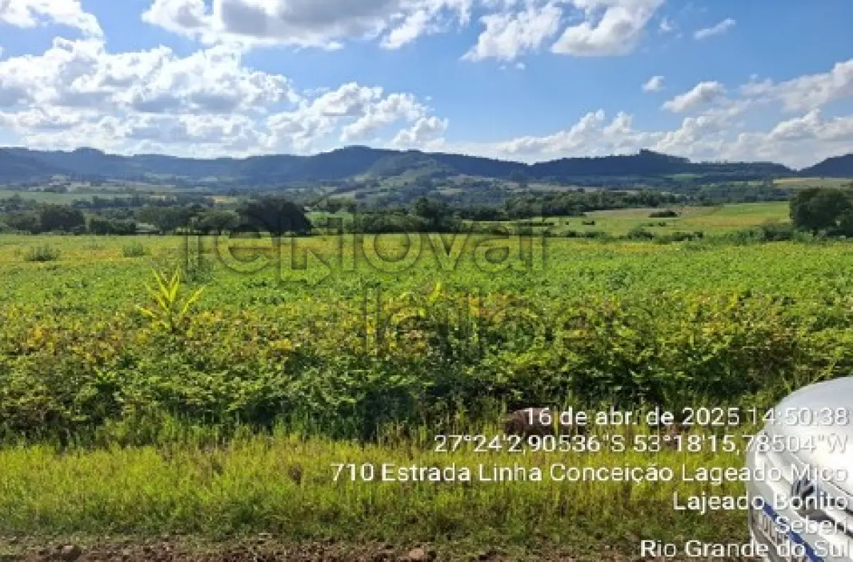 LOTE 001 - ÁREA RURAL C/ 123.611,12 M² - SEBERI / RS