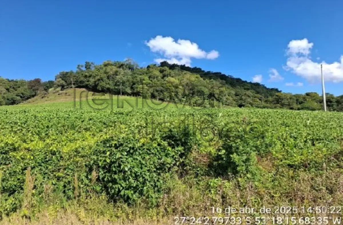 LOTE 001 - ÁREA RURAL C/ 123.611,12 M² - SEBERI / RS