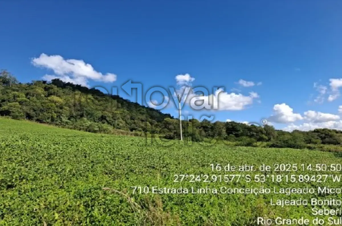 LOTE 001 - ÁREA RURAL C/ 123.611,12 M² - SEBERI / RS
