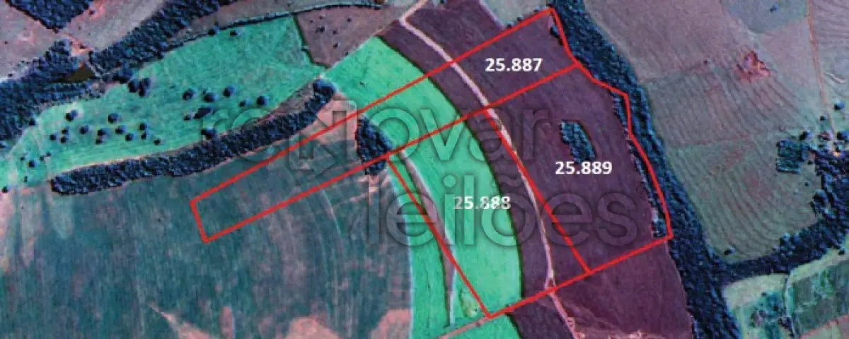 LOTE 001