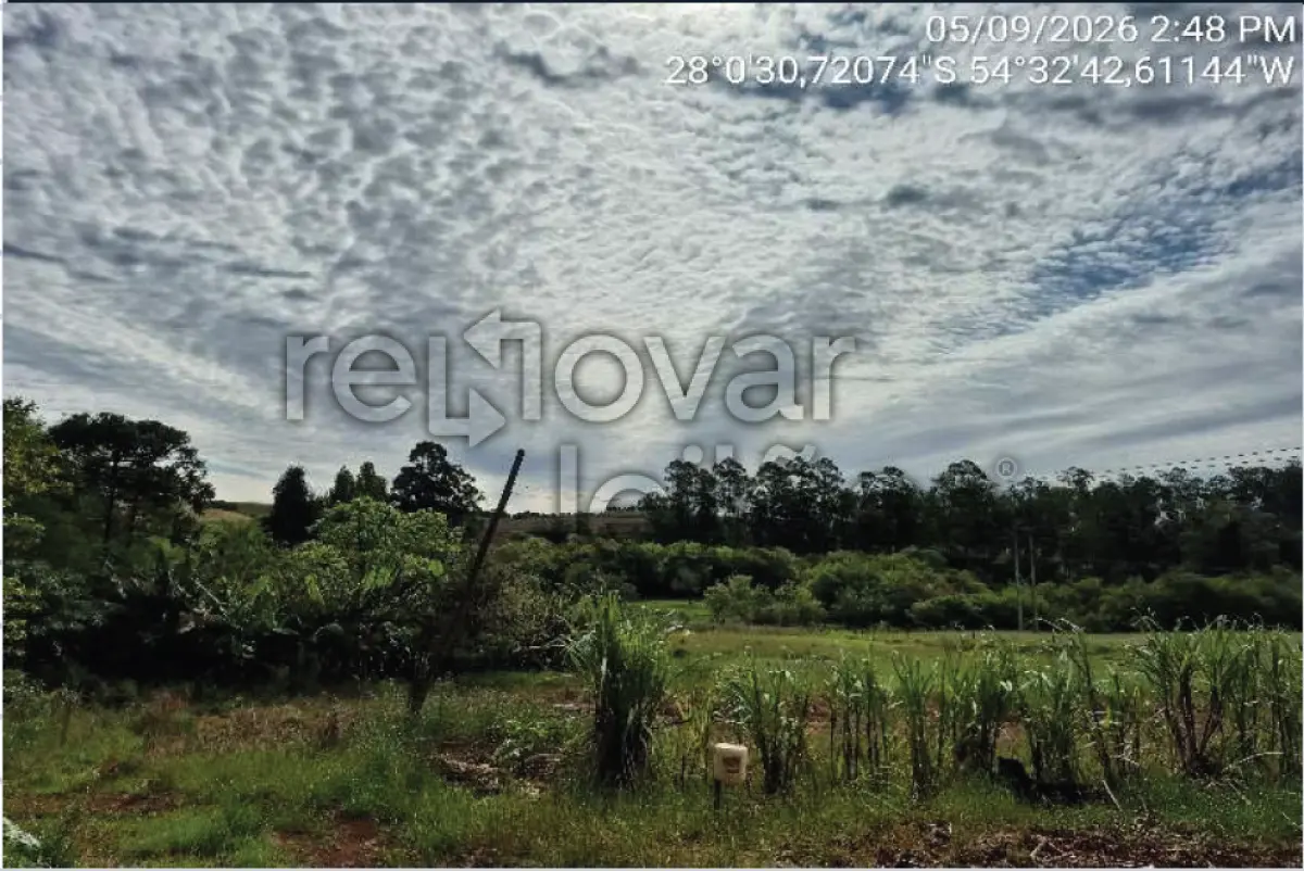 LOTE 001