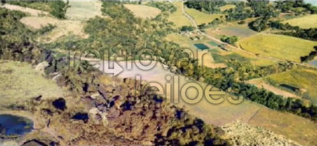 LOTE 011 - ÁREA RURAL C/ 60.000,00 M² - CAIÇARA / RS
