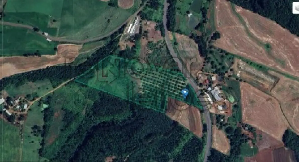 LOTE 008