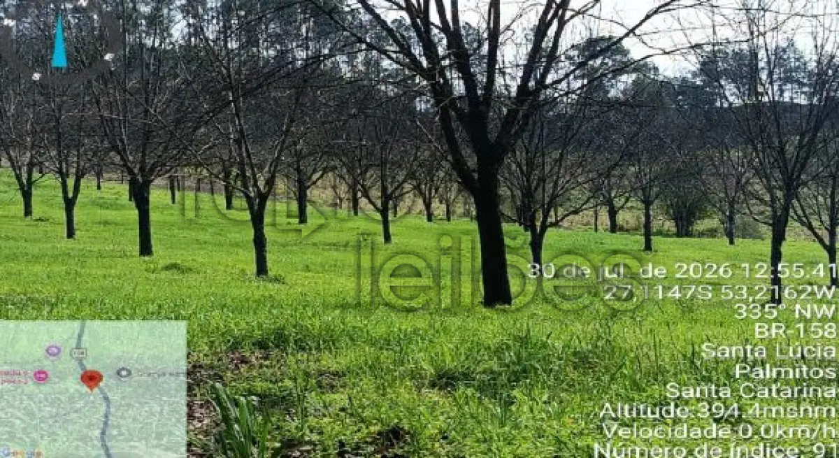 LOTE 008 - ÁREA RURAL C/ 5,52 HA - PALMITOS / SC