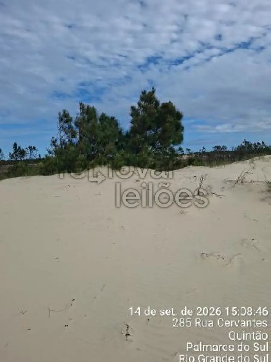 LOTE 013