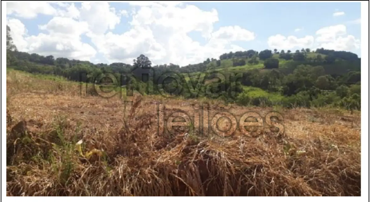 LOTE 003 - ÁREA RURAL C/ 12 HA - PLANALTO / RS