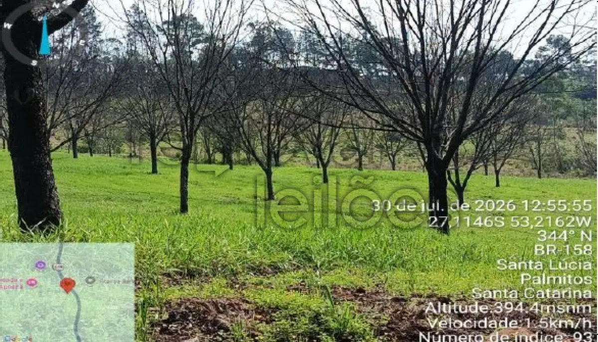 LOTE 008 - ÁREA RURAL C/ 5,52 HA - PALMITOS / SC