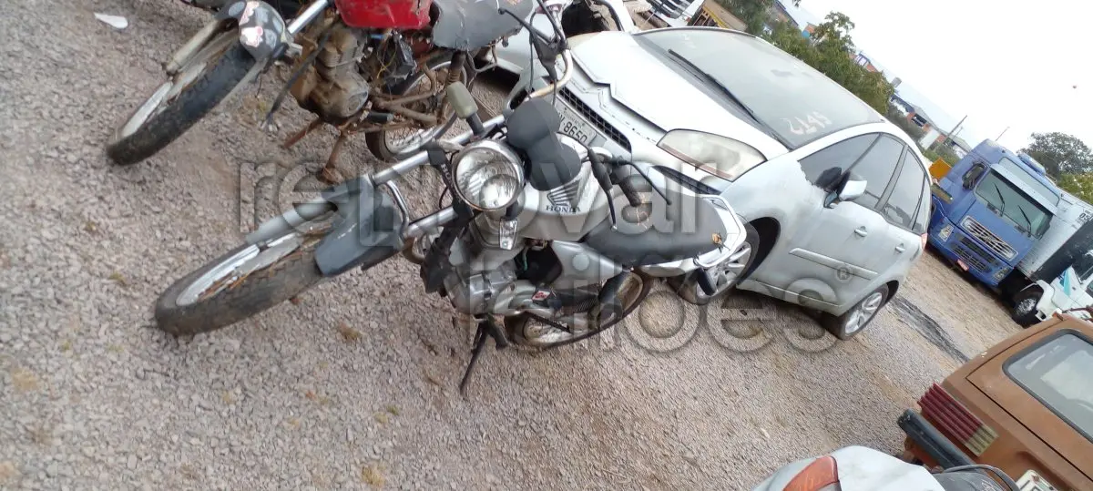 LOTE 0113
