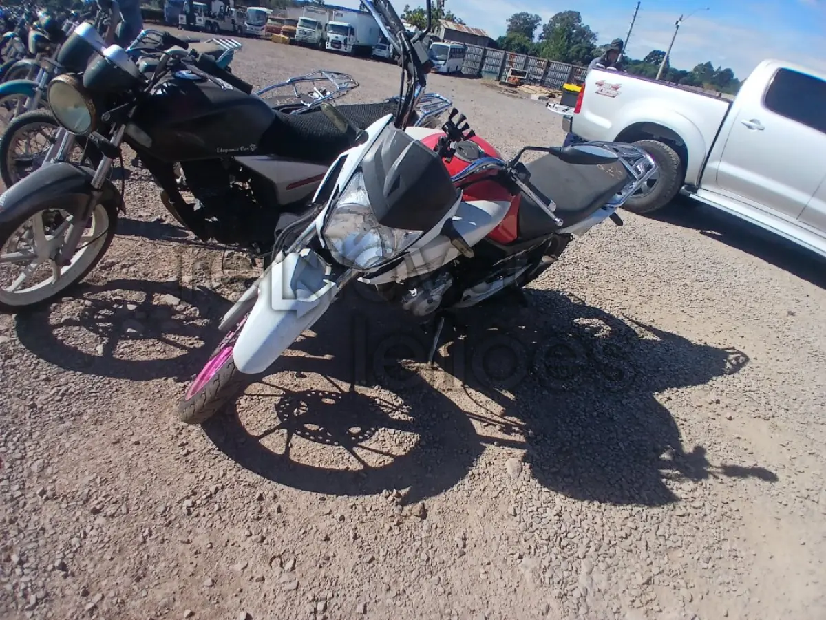 LOTE 0132