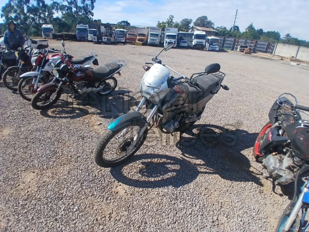 LOTE 0124