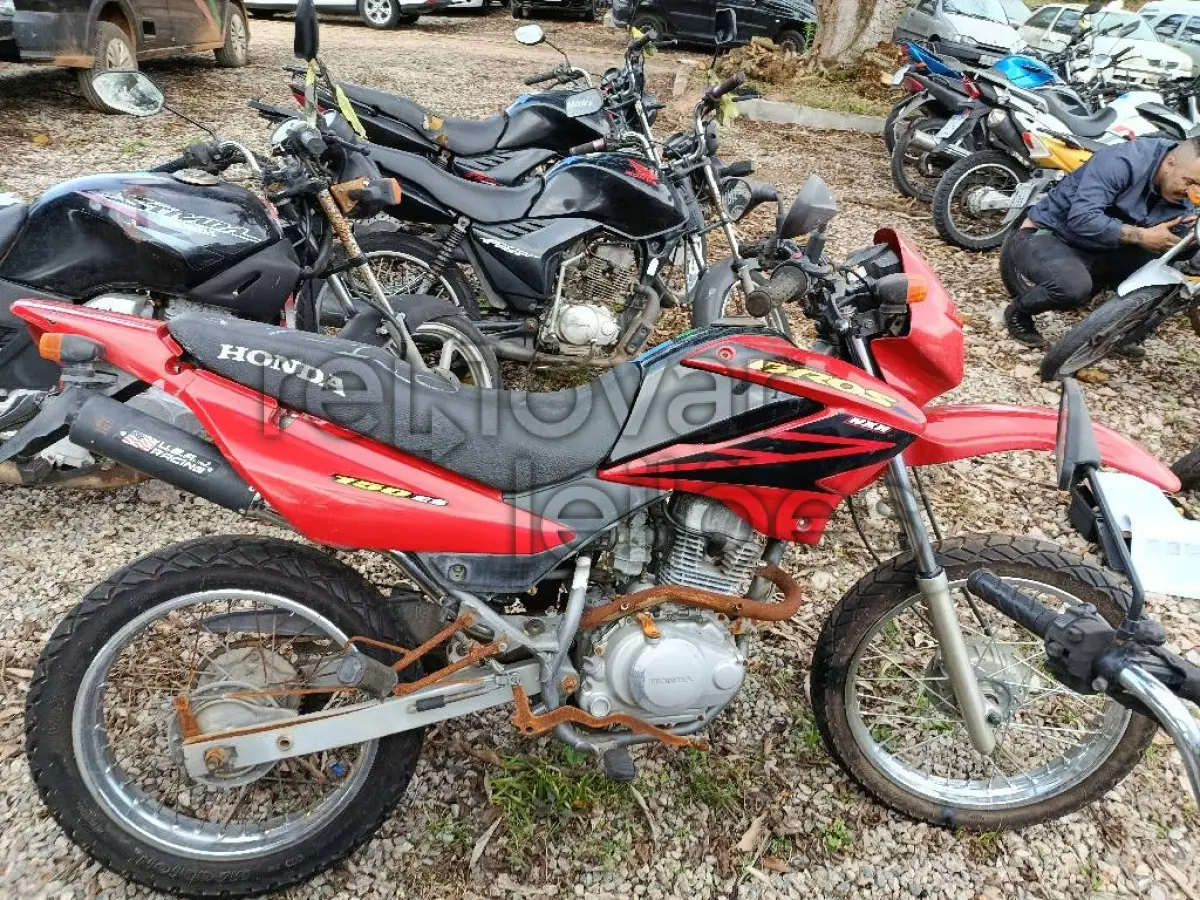 LOTE 0323