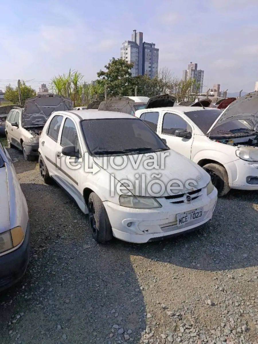 LOTE 0125