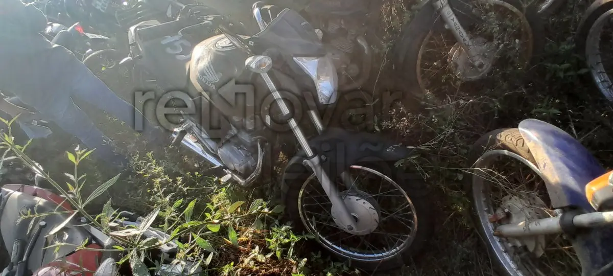 LOTE 0144