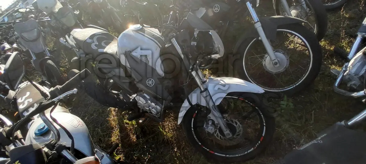 LOTE 0162