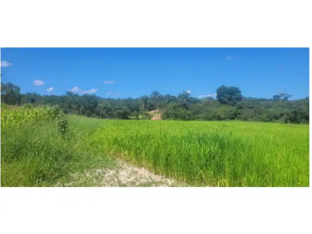 LEILÃO DE IMÓVEIS / ABADIA DOS DOURADOS - MG / LEI 9.514