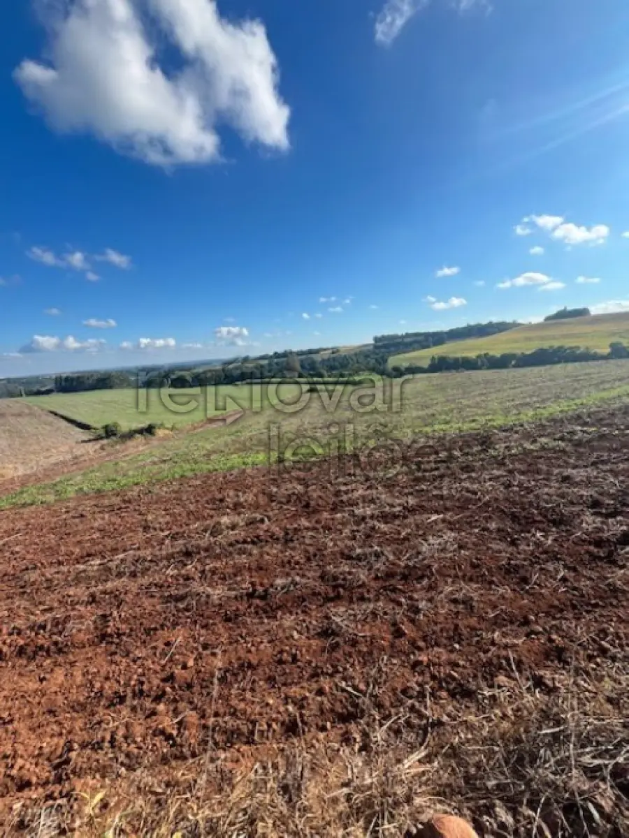 LOTE 001