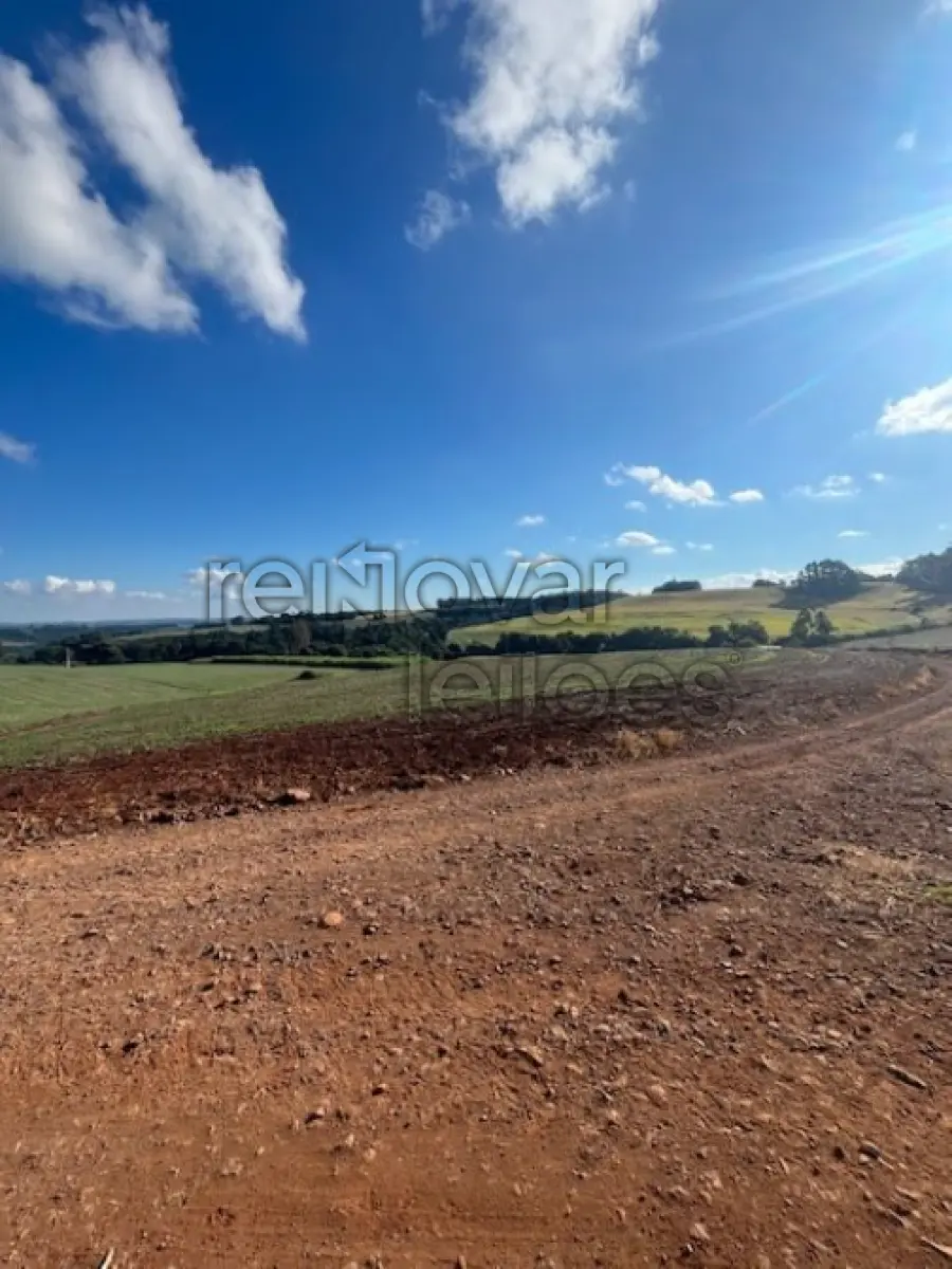 LOTE 001 - ÁREA RURAL DE 1 HA / DENTRO DE ÁREA MAIOR / PARTE DO LOTE Nº 83 / SEÇÃO BRASIL / BELA VISTA / DERRUBADAS - RS