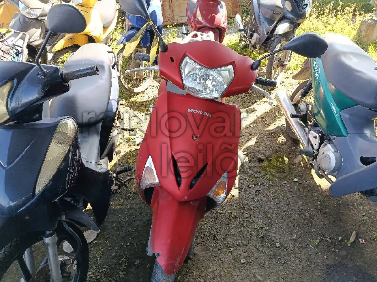 LOTE 0461