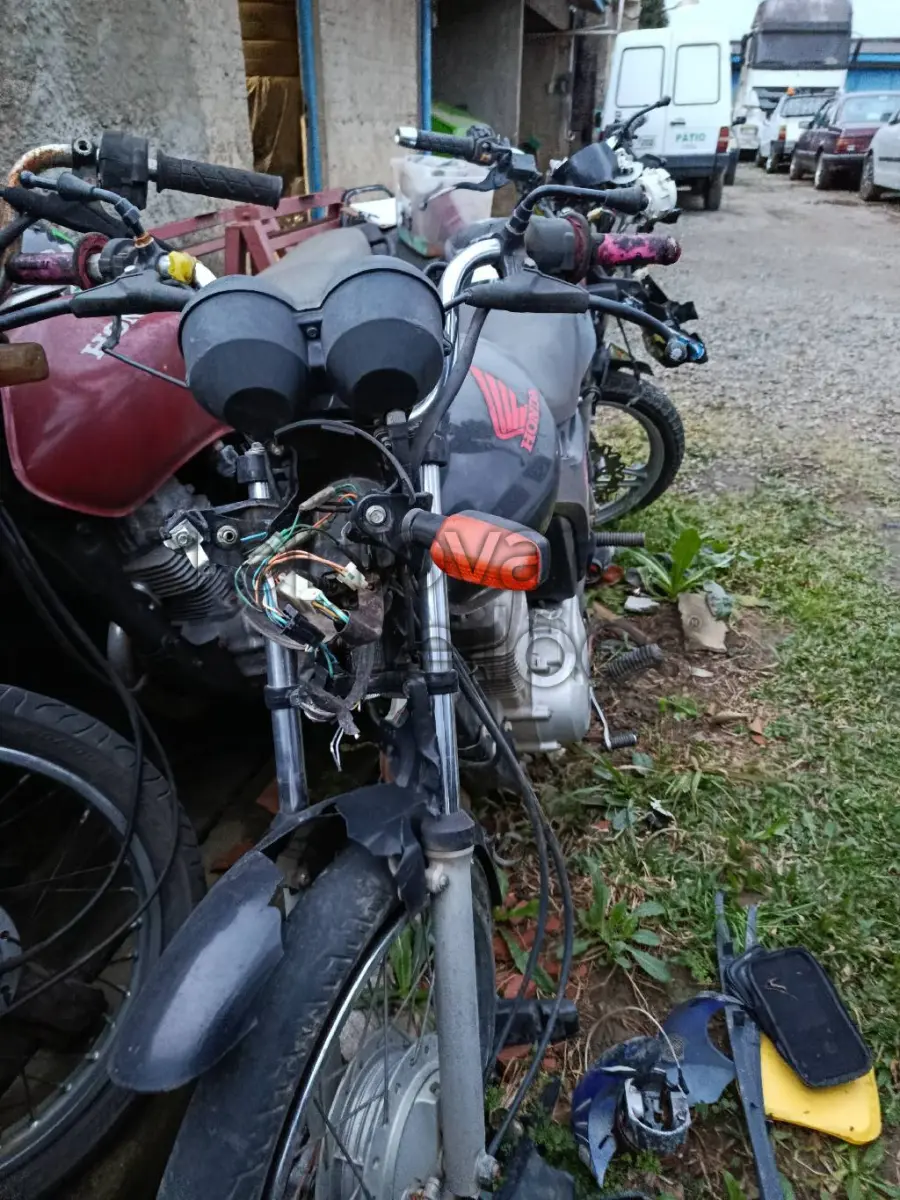 LOTE 0491