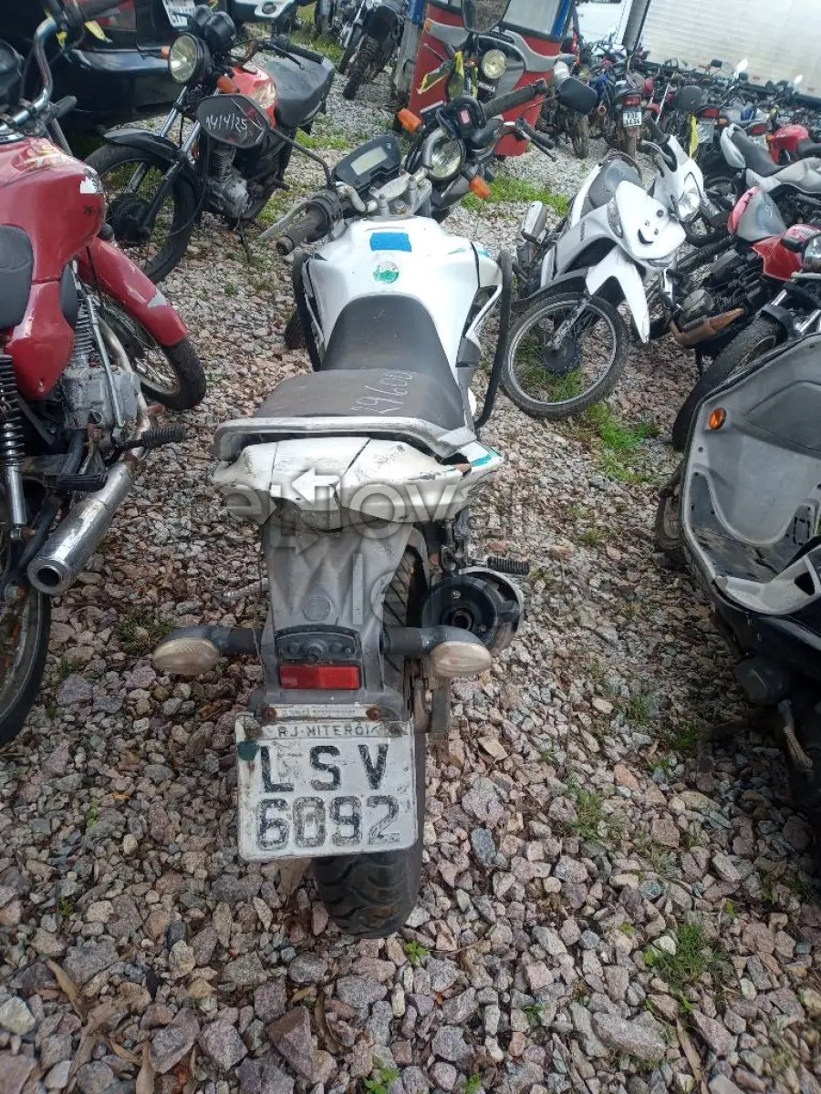 LOTE 0375