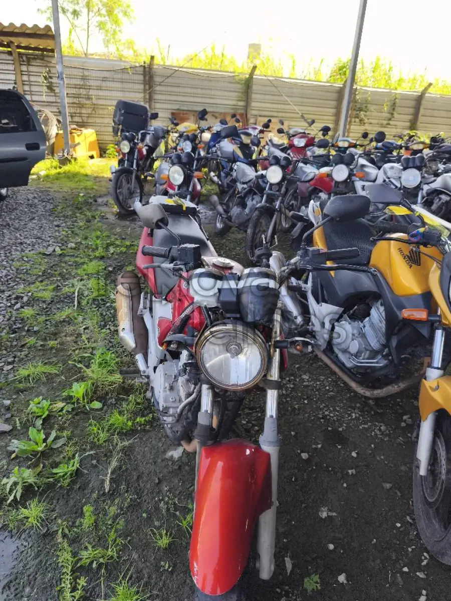 LOTE 0433