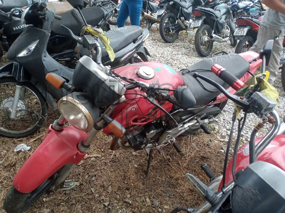 LOTE 0398