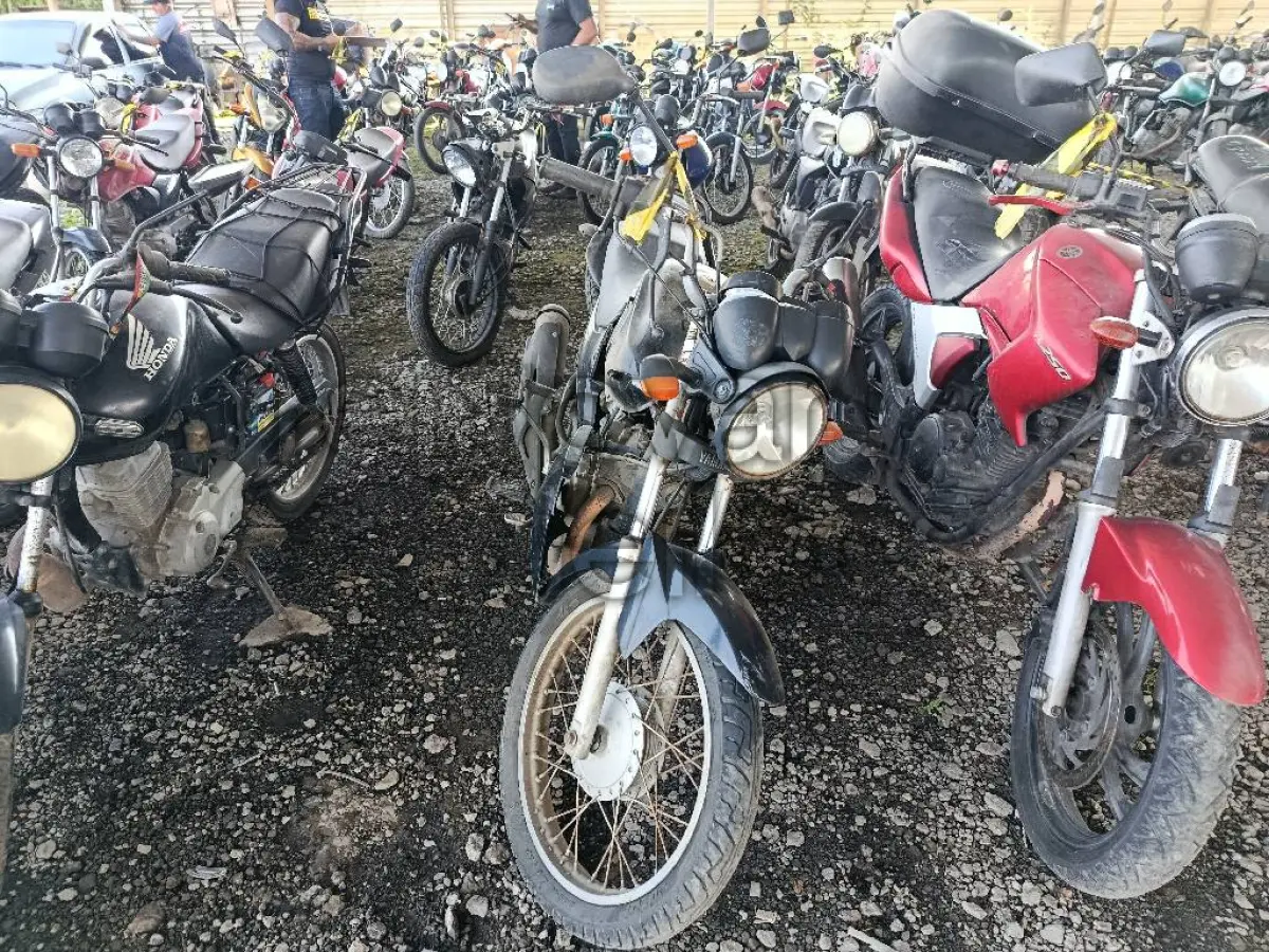 LOTE 0441