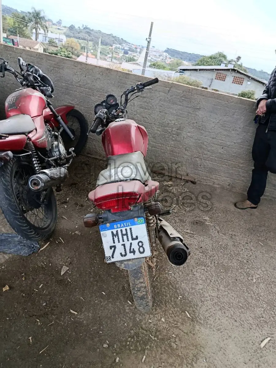 LOTE 0490