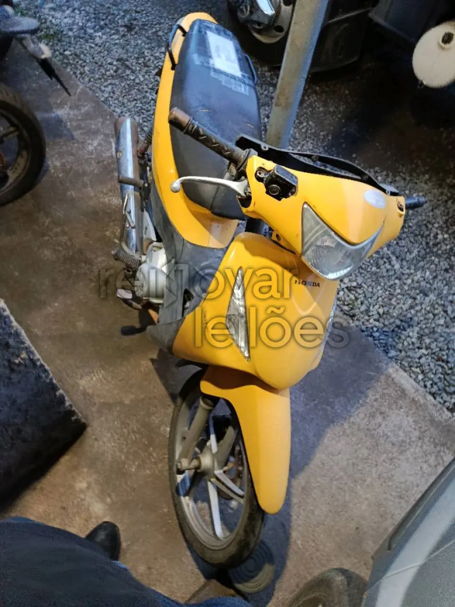 LOTE 0494