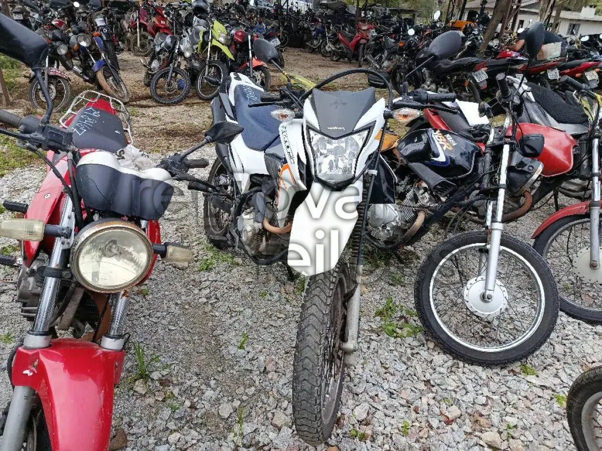 LOTE 0383