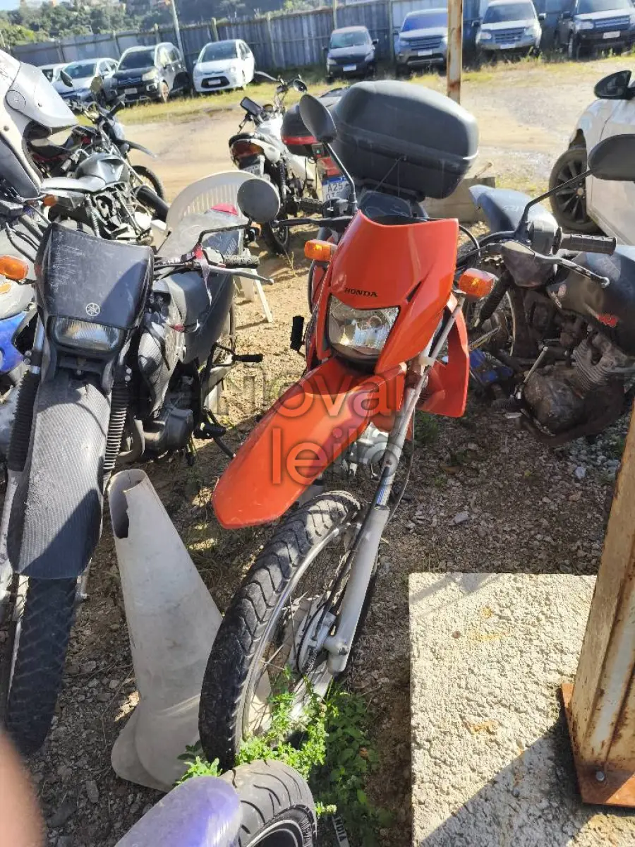 LOTE 0556