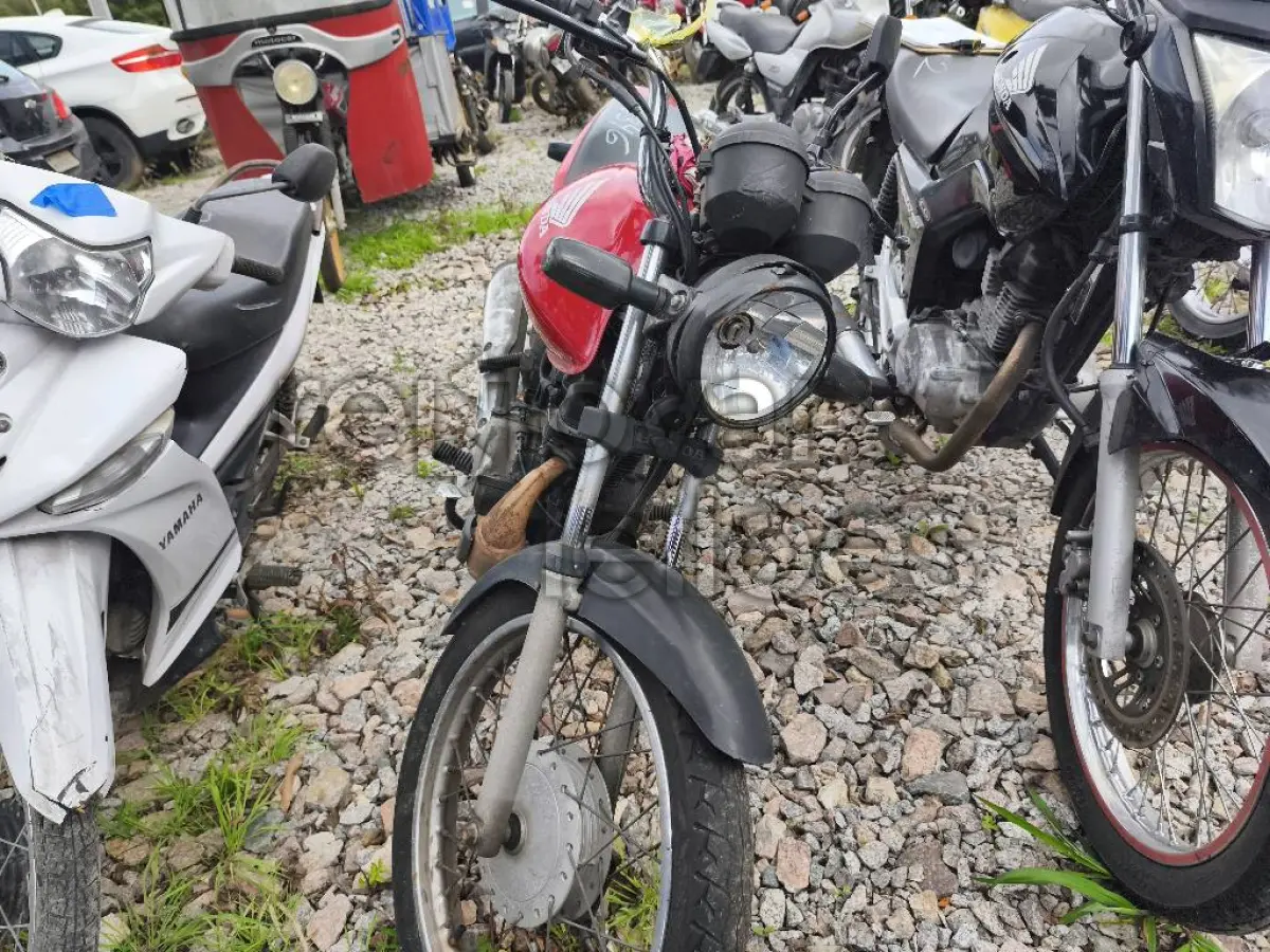 LOTE 0393