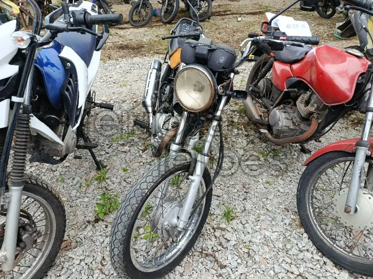 LOTE 0377