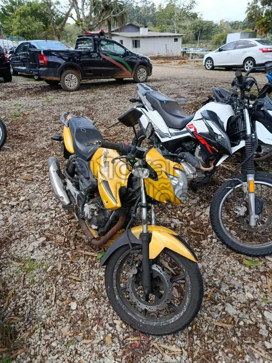 LOTE 0367