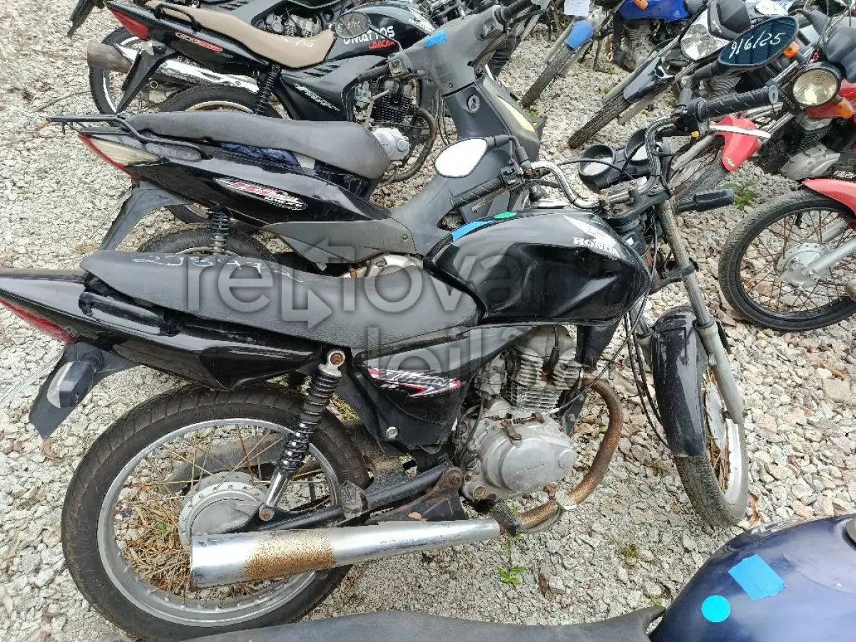 LOTE 0354