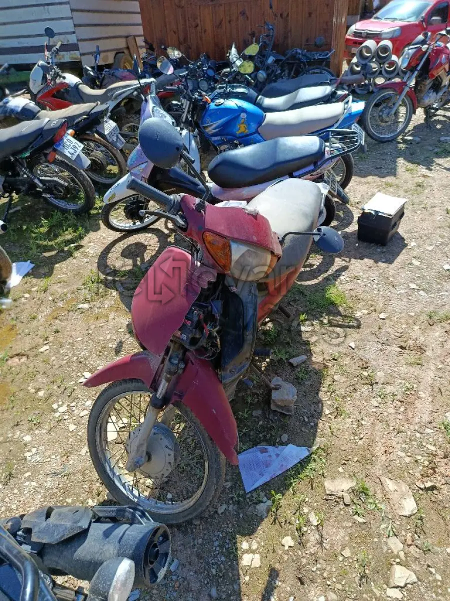 LOTE 0584