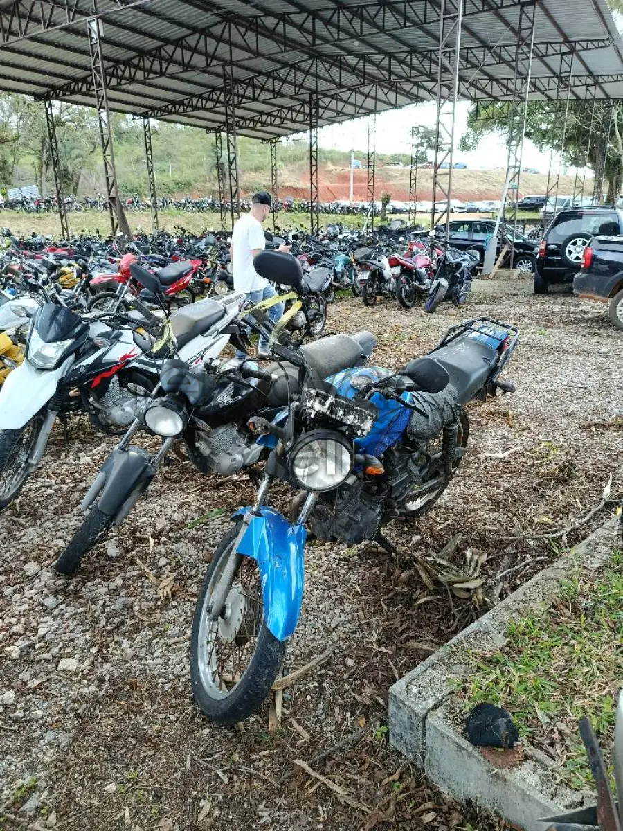 LOTE 0355