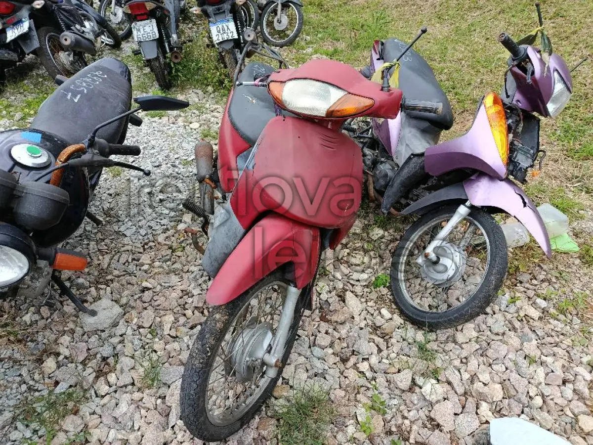 LOTE 0416