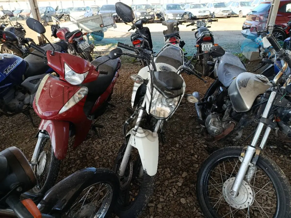 LOTE 0566