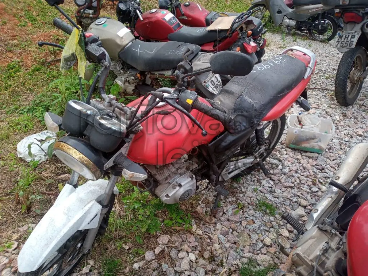 LOTE 0362